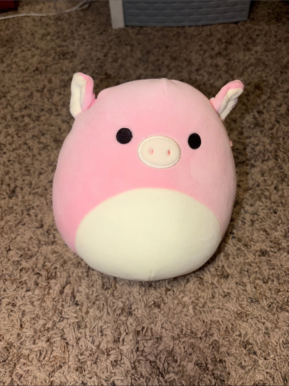 Squishmallow 8 in Pig Peter Kellytoy NWOT